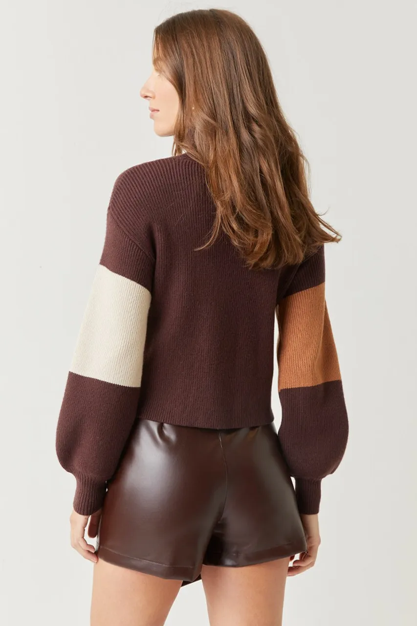 Dana Color Block Turtleneck Sweater