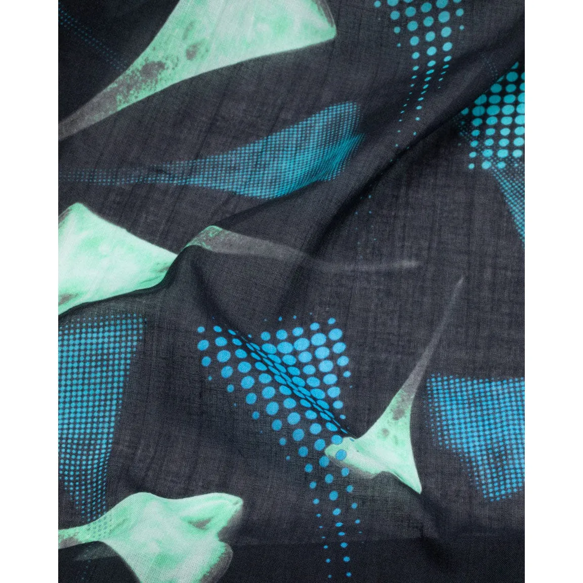 Microbiology: Stentor Scarf