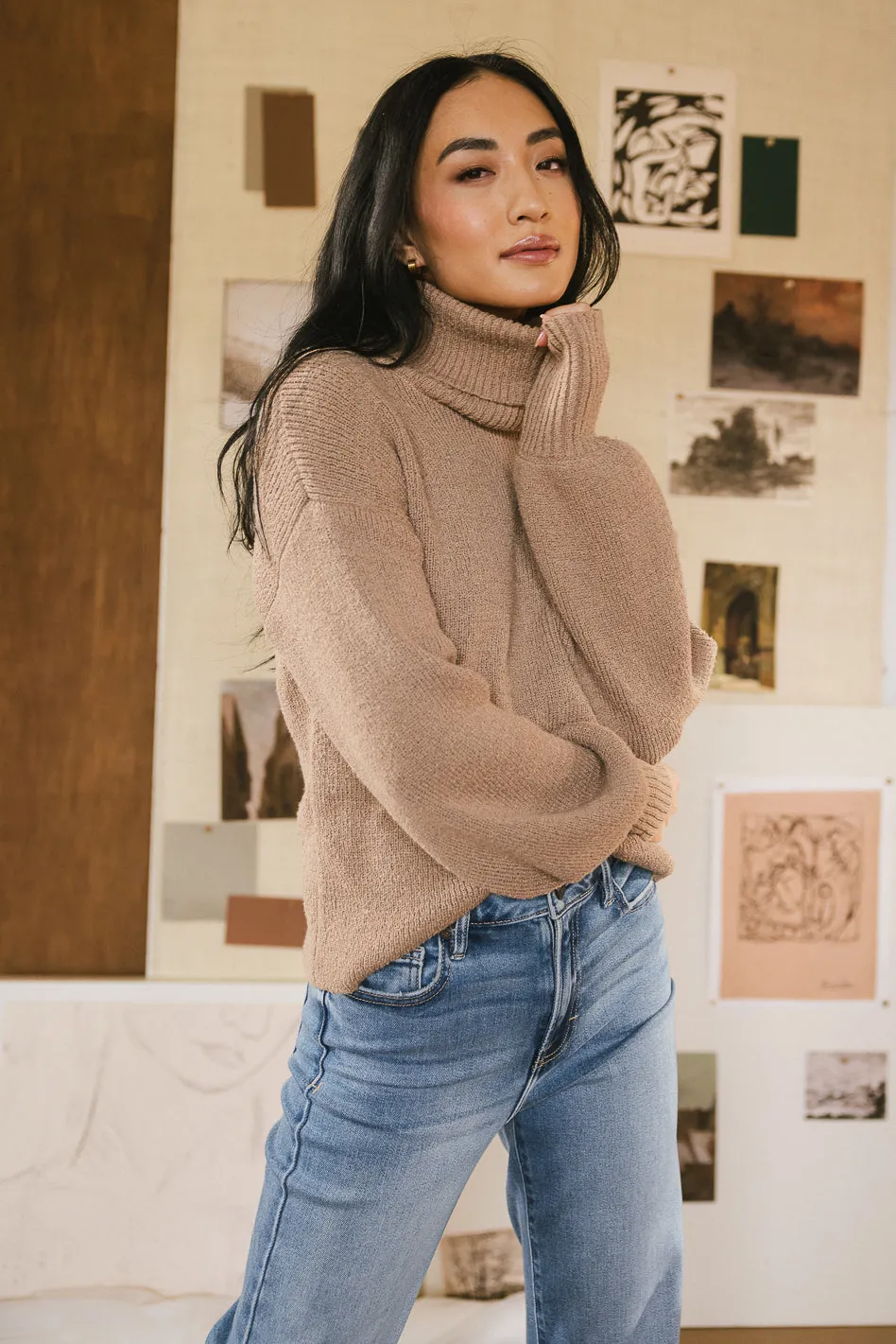 Shea Turtleneck Sweater in Brown